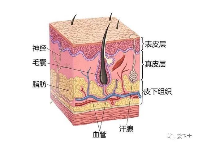 微信圖片_20220729101503.jpg