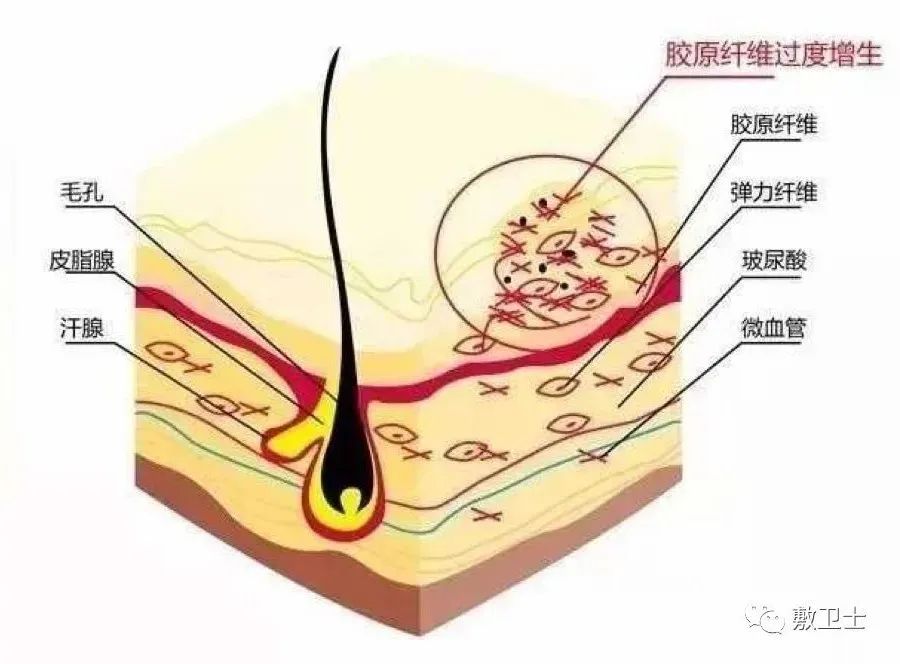 微信圖片_20220729101506.jpg